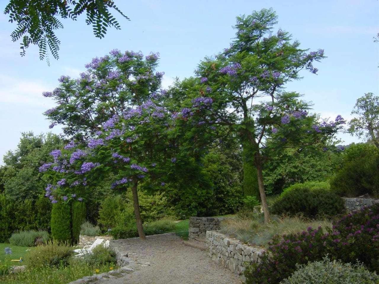 Ca Landreu Ecoturisme Villa Tiana Kültér fotó