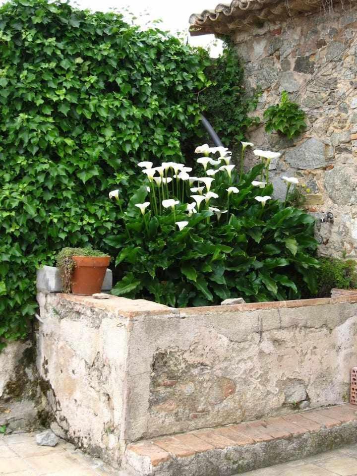 Ca Landreu Ecoturisme Villa Tiana Kültér fotó